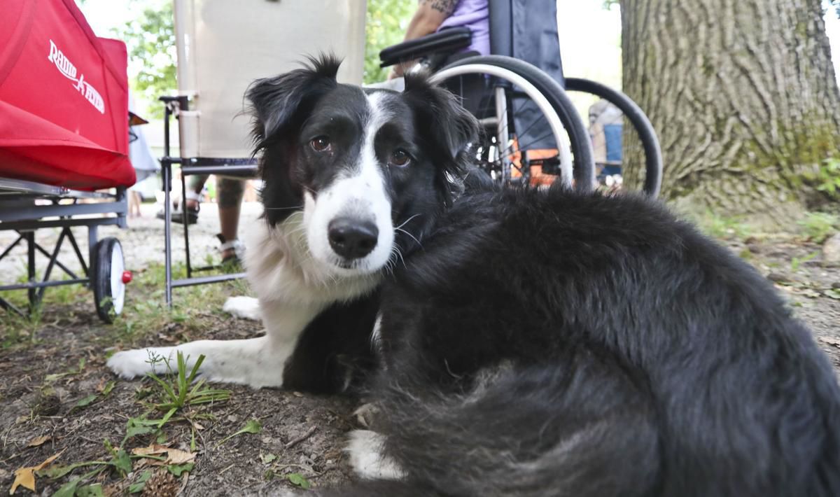 August 10, 2019: Blue Mound Fall Festival Parade